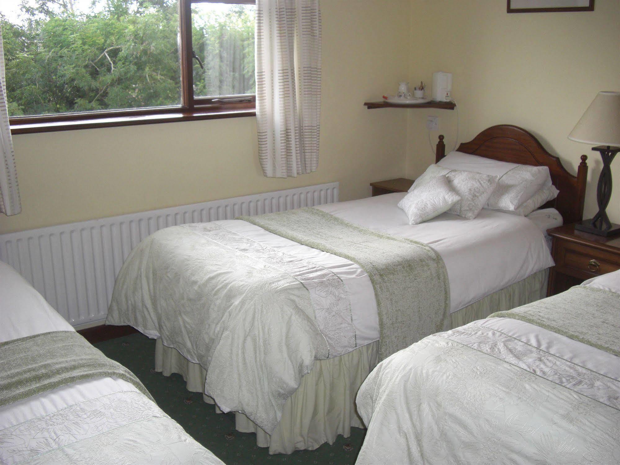 Springlawn Bed and Breakfast Clarinbridge Buitenkant foto