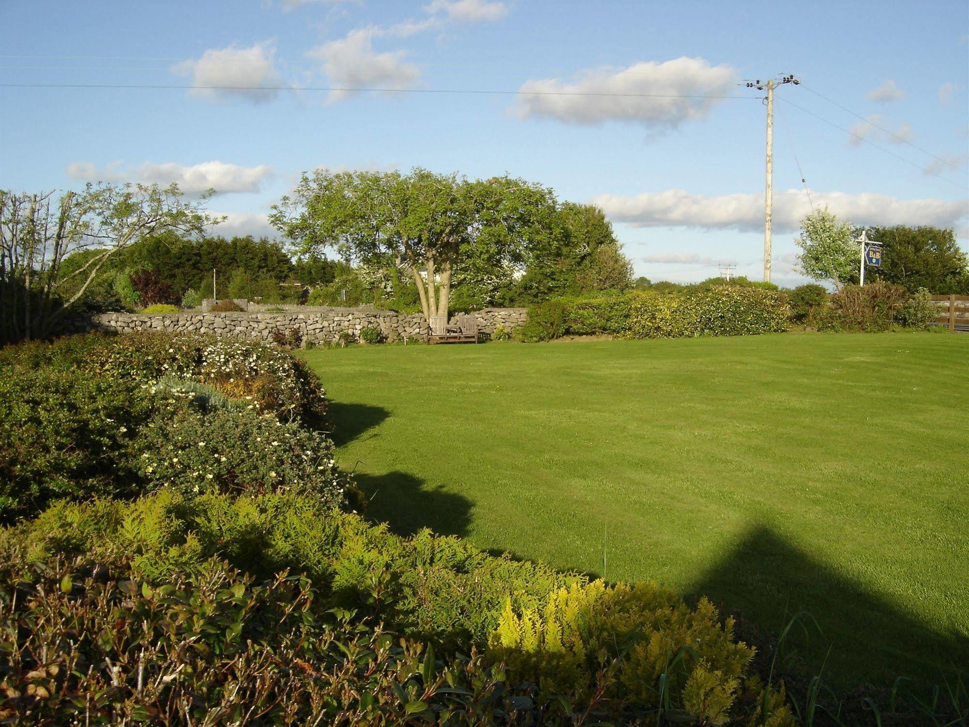 Springlawn Bed and Breakfast Clarinbridge Buitenkant foto